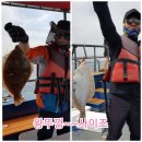 풍년참가자미