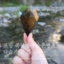 [포항] 물놀이 계곡 숨은 명소 죽장 계곡 추천(포항 다슬기 / 고디잡이)
