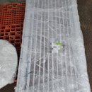 <b>대신</b><b>택배</b> 대형 화물 <b>택배</b> 후기 밥상, 세이펫 180cm 기본방묘문 대+확장 패널 10cm 두 개 대형 화물 <b>택배</b>...