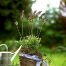 알뜰식품점 이미지