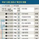 국내 신종코로나 확진자 현황 이미지