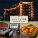 코모도 실내수영장 | 부산역 호텔 코모도호텔 부산 가성비 호텔 숙소 추천