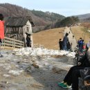 단비목장 이미지