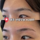광주진흥중학교 | 광주 신창동 눈썹전문왁싱샵 디자인 잘잡는 HJART 추천 후기