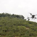 선녀농장 이미지