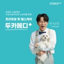 주식회사 스템포인트 이미지