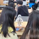 부곡알파