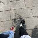 세드릭커피컴퍼니