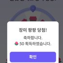 1월~7월까지 연속 개근했어요 ㅎ모처럼 50장미도 왔네요^^ 이미지