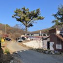 카페애룡호수 이미지