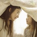 다시,봄 이미지