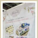 앨리케익 이미지