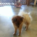 헤이독청주 이미지