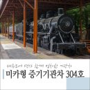 미카형 증기기관차 304호 이미지