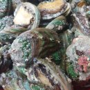 애니카랜드백석점 이미지