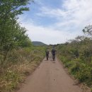 초원4 태양광발전소 이미지