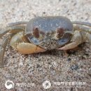 갈남어촌체험휴양마을 이미지