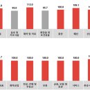 코바코 쿠키뉴스