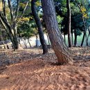 누리한우 숯불갈비 이미지