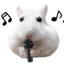 카페게이트대전