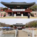 동광로1길 33-4 | {경남 창녕군} 창녕성씨(昌寧成氏) 시조 중윤공 諱인보(成仁輔)의 아들 시중공 諱송국(成松國)을 비롯한...