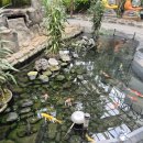 남목그린타워 어린이 놀이터 | 가볼만한곳 실내 곤충체험부터 동물관람까지 아산 생태곤충원 그린타워 다자녀 할인 전망대 방문 후기