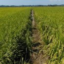 현대농장 이미지