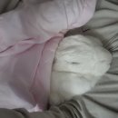 하임한의원 | 26년 37, 1월 5일 ~ 11일