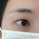 다산속눈썹펌 잘하는곳 :: 센스(sense) 다산역 속눈썹펌