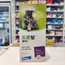 참약사플러스약국 이미지