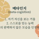 메타인지
