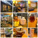 무등도서관 | 광주 두암동 무등도서관 예쁜 카페 프라하 내돈내산(늦게까지 여는)