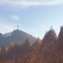 장태산 자연 휴양림 이미지