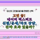 그림으로 알아보는 타로 | 고민 끝! 🌙 네이버 엑스퍼트 신점/운세/타로 상담, 진짜 효과 있을까?