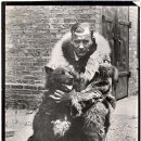 발토(BALTO) 이미지