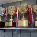 경희대 국가대표 탑태권도장 이미지