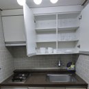 문효원 | 충남보령 반려견동반여행 문효원콘도 후기