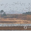 동림농장 이미지