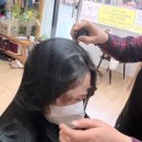 마천로15길 | 오금역 염색 바로티나 송파점에서 저자극 새치염색 하고 온 후기