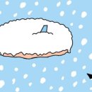 제주첫날 민박 이미지