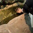 명동횟집1호점 | 몇 번인가 사랑을 했지만 전부 너를 만나기 위해서였어