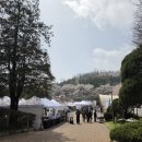 힐 스프링 | 워커힐 스프링 와인페어 2026후기｜분위기 미쳤던 서울 와인축제