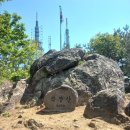 식장산 숲길 이미지