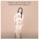 창원애견호텔 강아지유치원 애견미용 맘바이 창원점 이미지