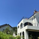 스테이카멜7 이미지