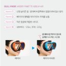 안경닷컴 | 스쿠버다이빙 마스크 추천 GULL 걸 베이더 파네트 420UV +AR 퐁당닷컴 구매