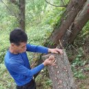 행복한휴식 이미지