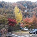 녹색향기 펜션 이미지