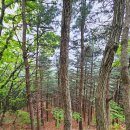 우고리마을회관 이미지