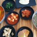 제주애니멀119제주